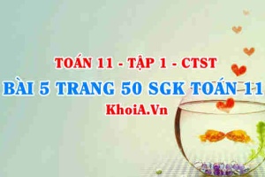 Bài 5 trang 50 SGK Toán 11 Tập 1 Chân trời sáng tạo